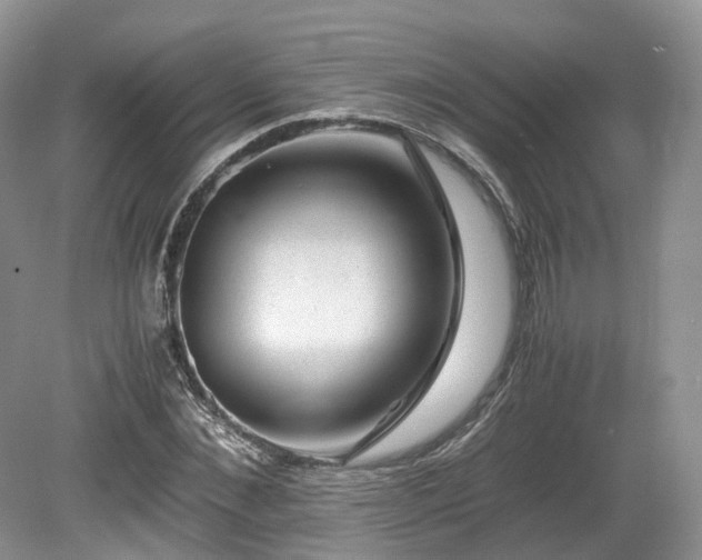 X0000080190876200612081424
