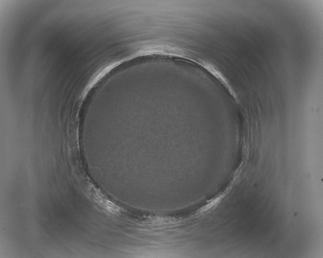X0000080190877200612081424