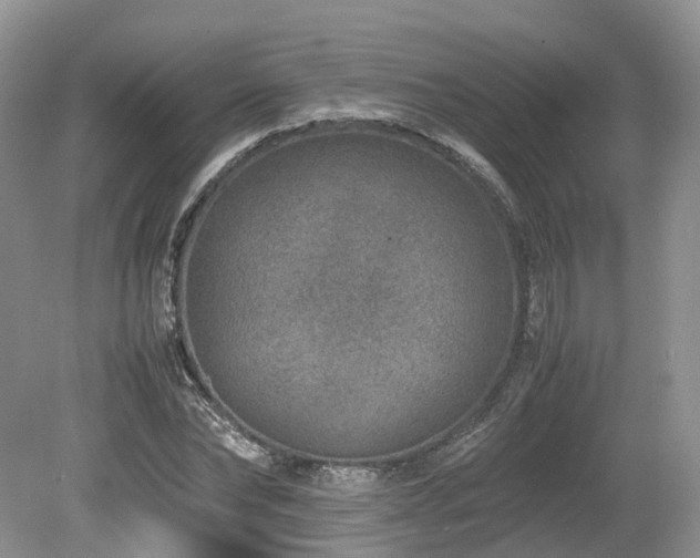 X0000080190878200612081424