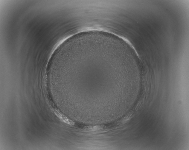 X0000080190879200612081424
