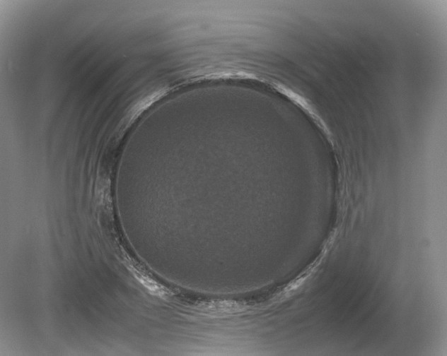 X0000080190881200612081424