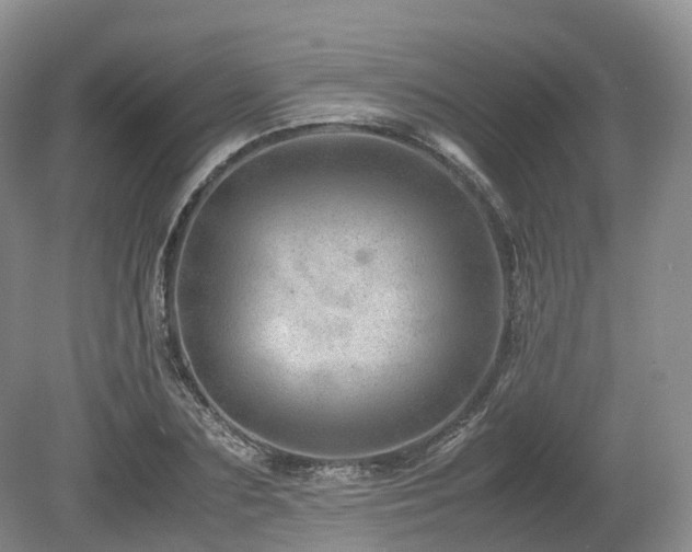 X0000080190883200612081424
