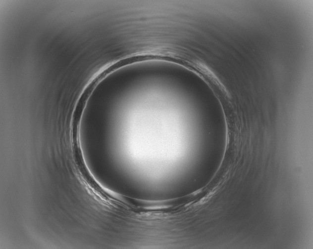 X0000080190884200612081424