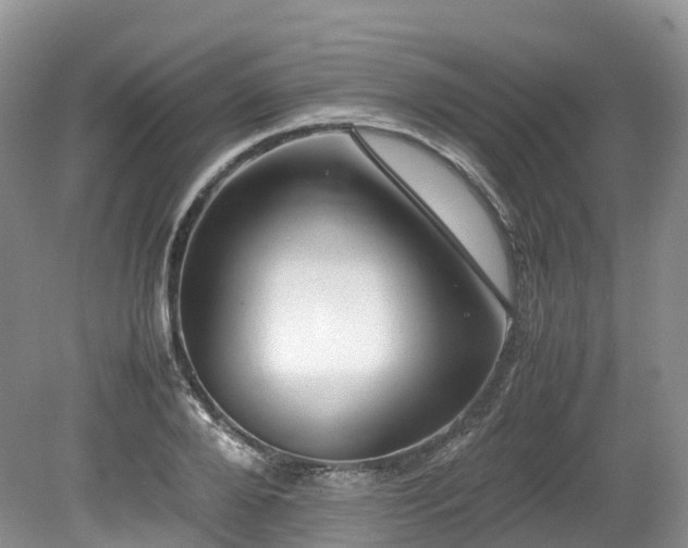 X0000080190888200612081424