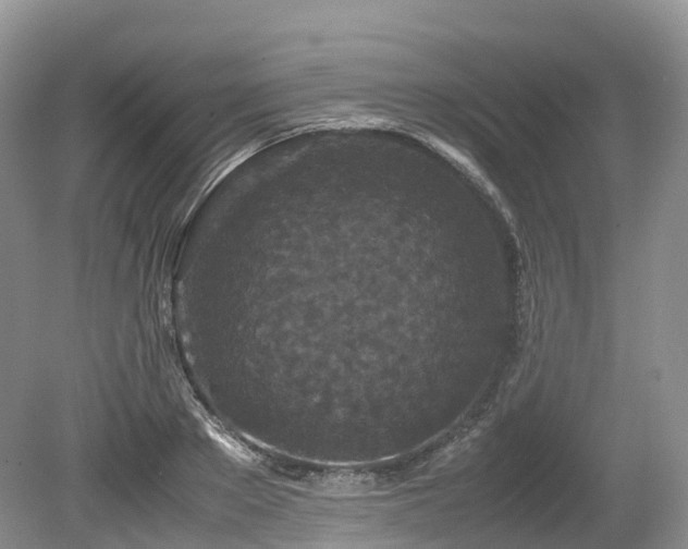 X0000080190889200612081424