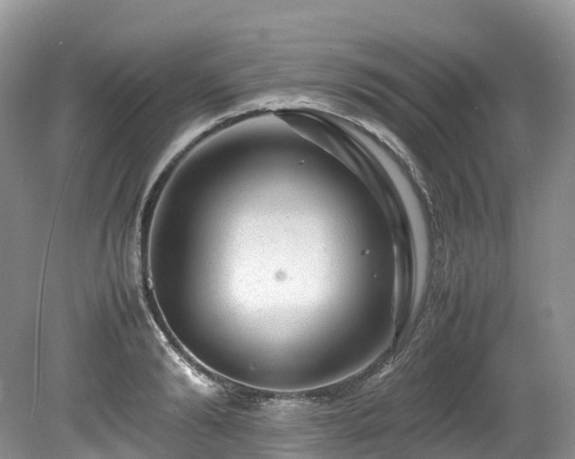 X0000080190894200612081424