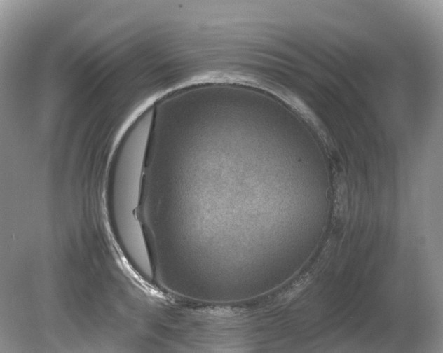 X0000080190896200612081424