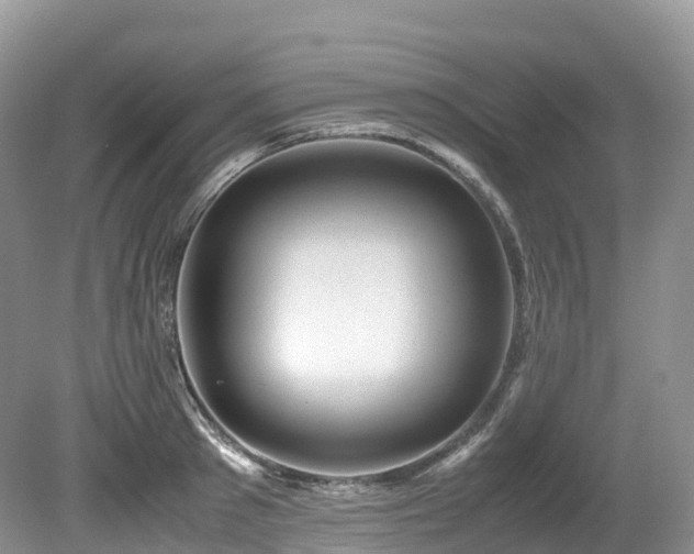 X0000080190897200612081424