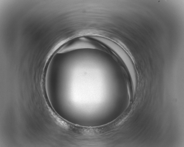 X0000080190901200612081424