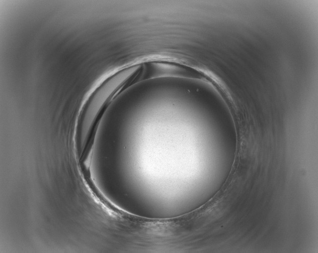 X0000080190902200612081424