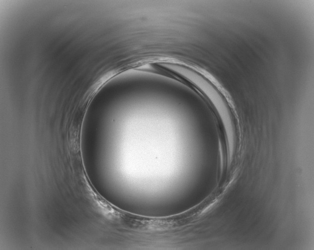 X0000080190905200612081424