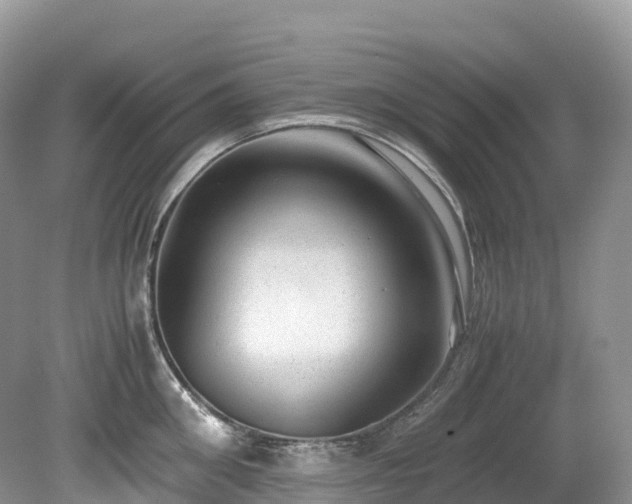 X0000080190906200612081424