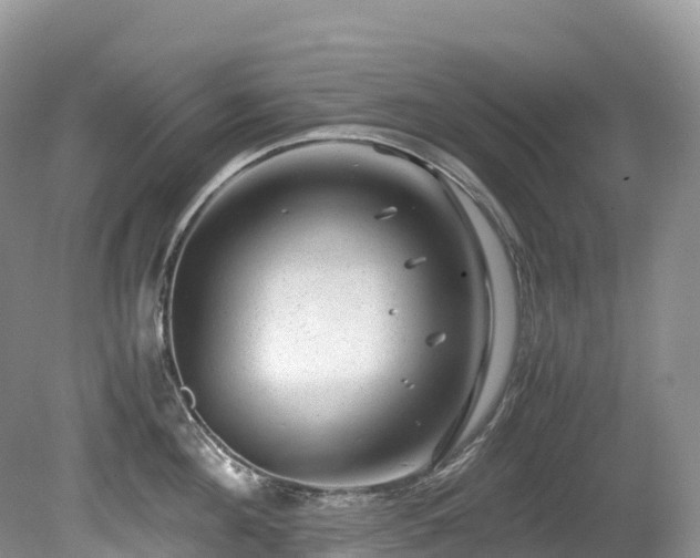 X0000080190908200612081424
