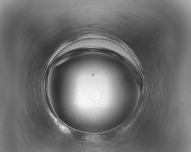 X0000080190909200612081424
