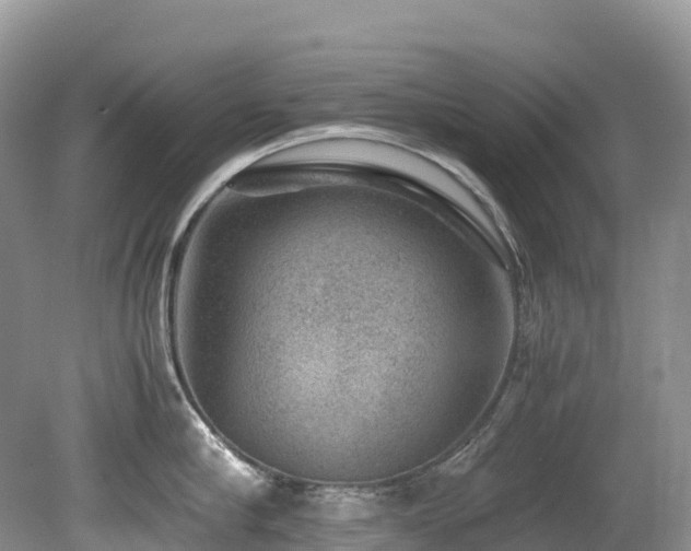X0000080190910200612081424