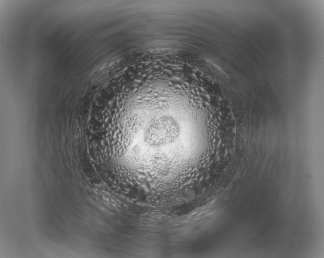 X0000080190917200612081423