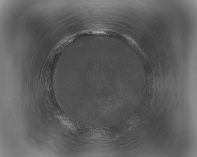 X0000080190919200612081423