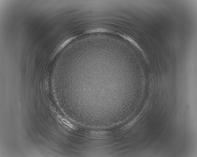 X0000080190921200612081423