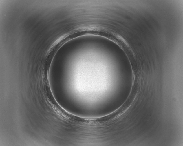 X0000080190922200612081423