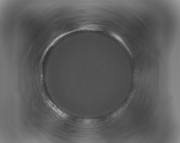 X0000080190923200612081423