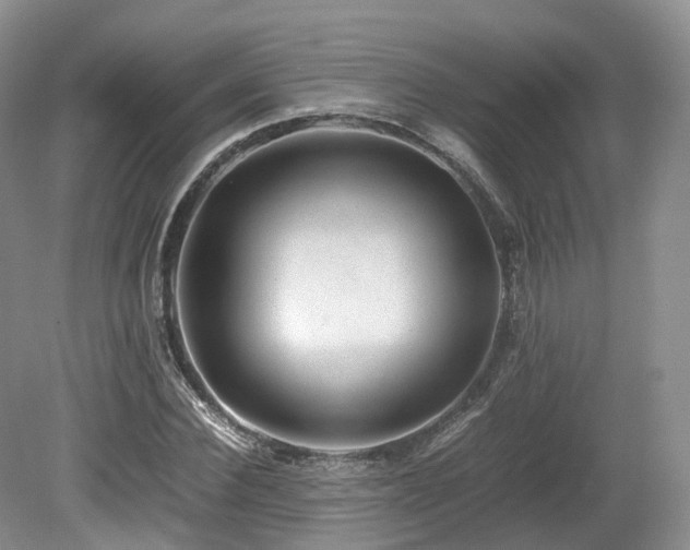 X0000080190924200612081423
