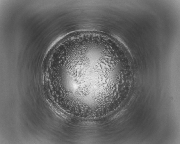 X0000080190925200612081423