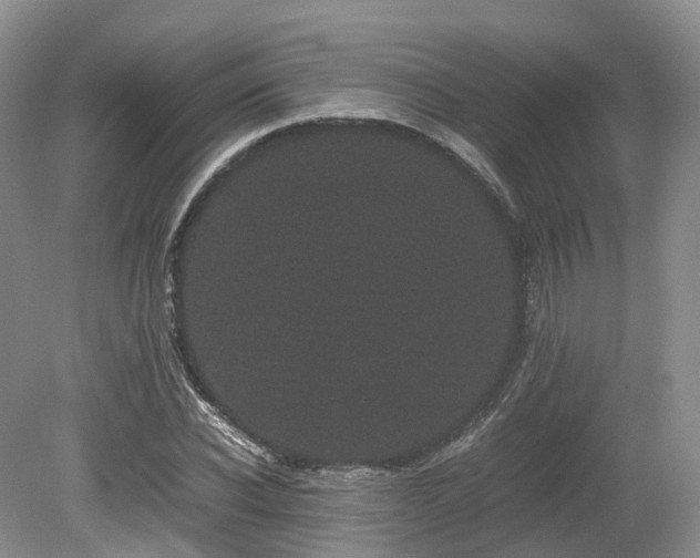X0000080190926200612081423