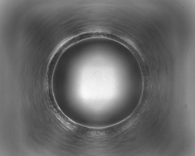 X0000080190927200612081423