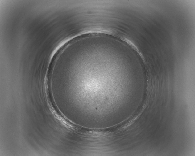 X0000080190928200612081423
