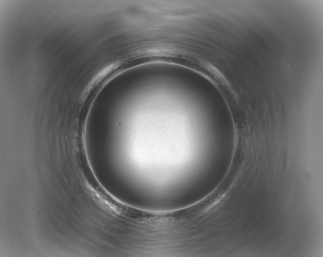 X0000080190930200612081423