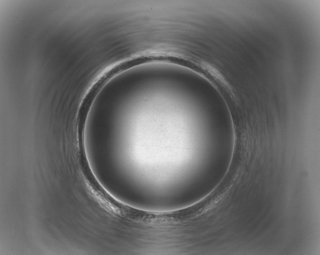 X0000080190934200612081423