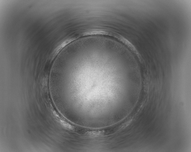 X0000080190937200612081423