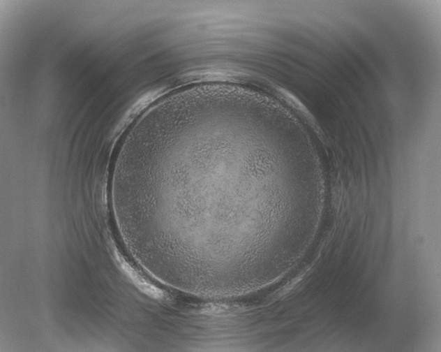 X0000080190938200612081423