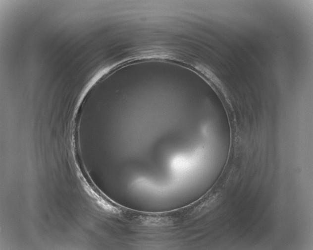 X0000080190941200612081423