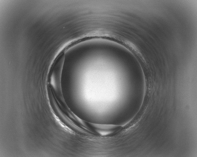 X0000080190942200612081424