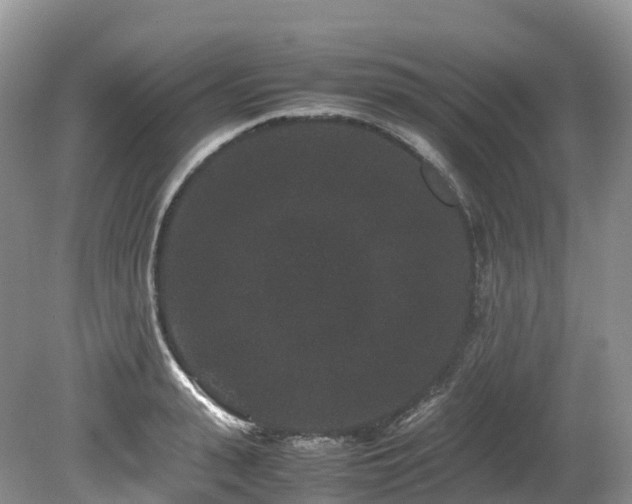 X0000080190943200612081424