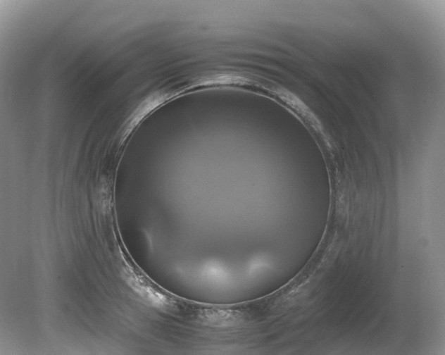 X0000080190945200612081424