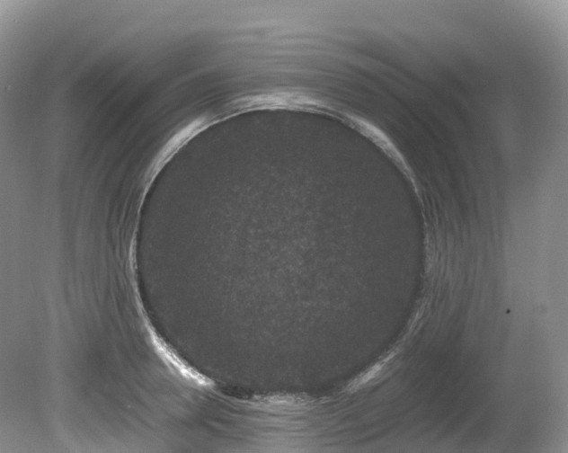 X0000080190946200612081424