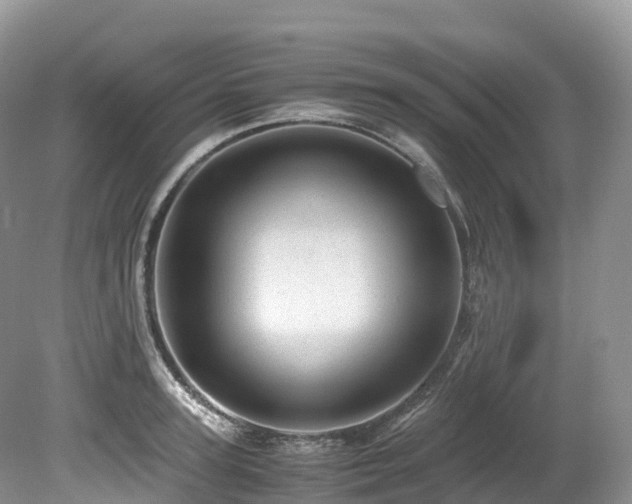 X0000080190947200612081424