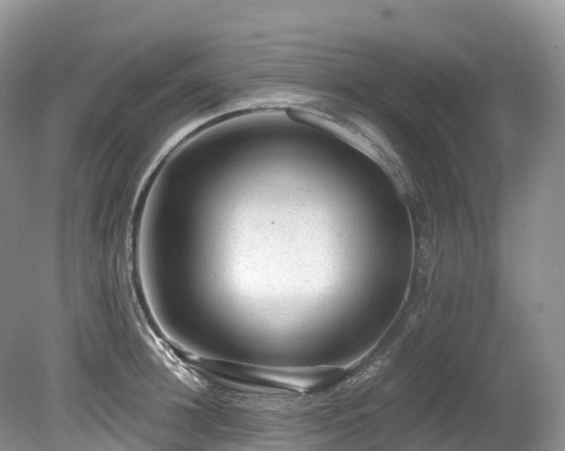 X0000080190948200612081424