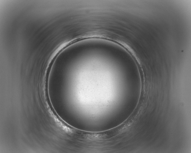X0000080190949200612081424