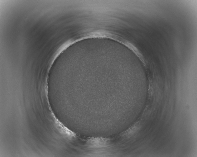 X0000080190950200612081424