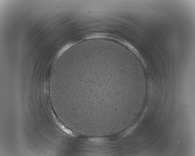 X0000080190953200612081424