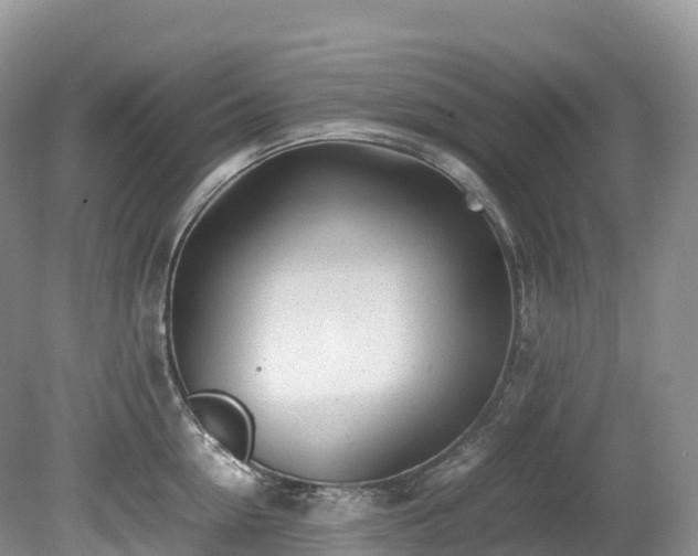 X0000080190954200612081424