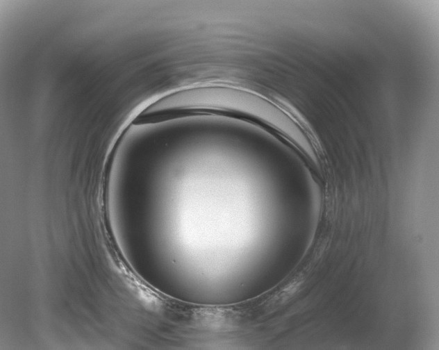 X0000080190956200612081424