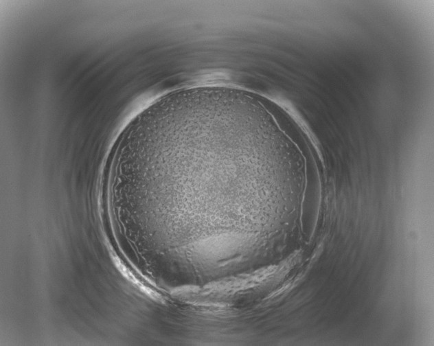 X0000080190957200612081424