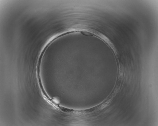 X0000080190958200612081424