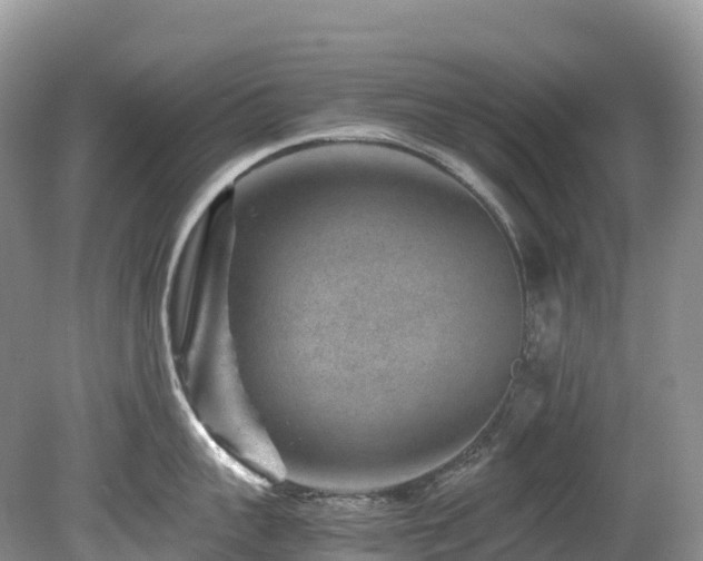 X0000080190959200612081424