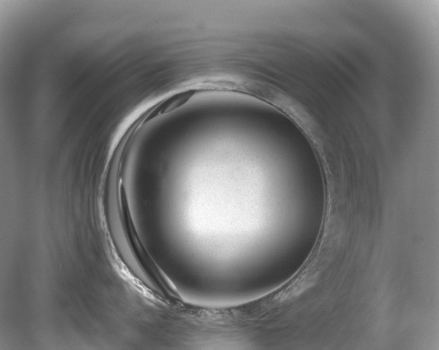 X0000080190960200612081424