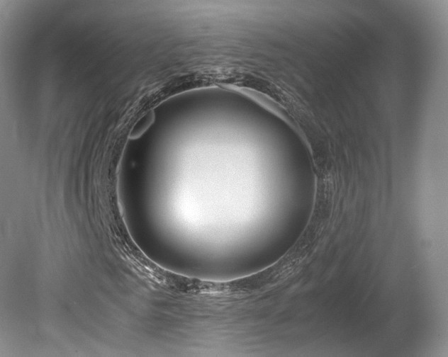 X0000080190961200612081423
